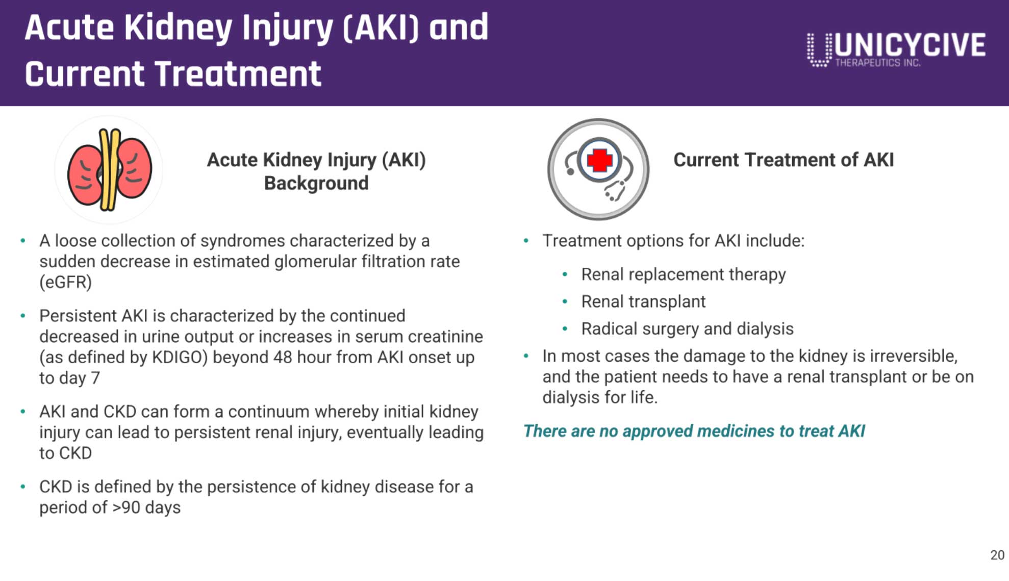 Unicycive冲刺纳斯达克:拟募资2766万美元路演PPT曝光
