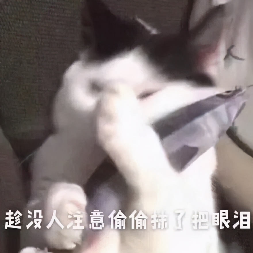 亲身经历过哪些坑,亲身经历致命骗局