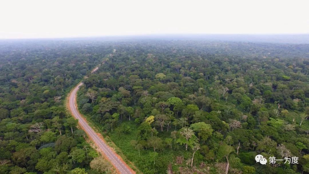 刚果共和国历史简介,刚果国家简介