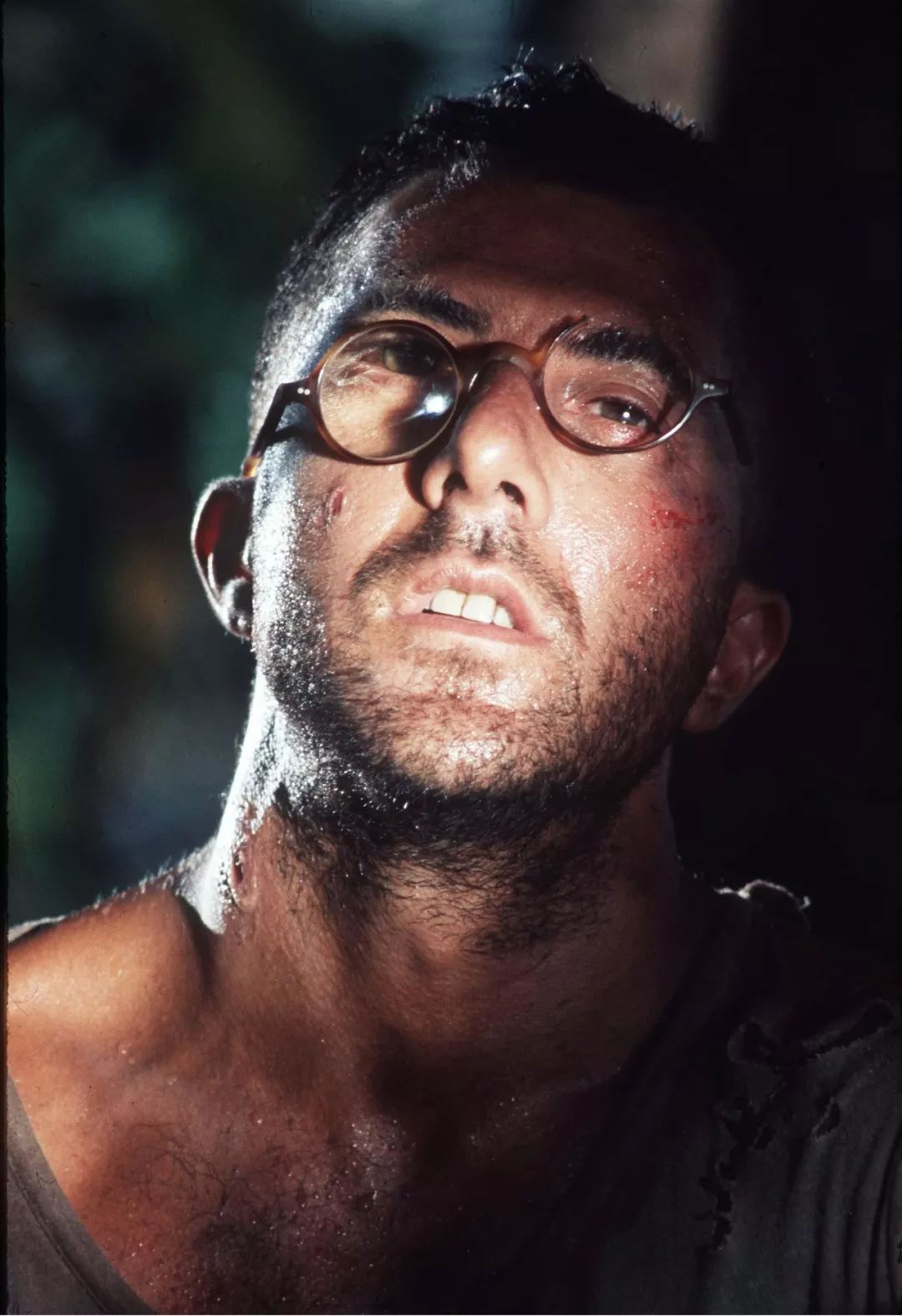 巴比龙越狱最后成功了吗,美国经典越狱电影巴比龙