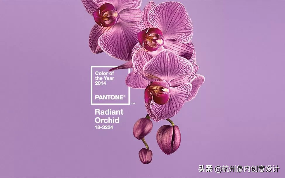 pantone2023流行色对冲色,2024pantone流行色色号
