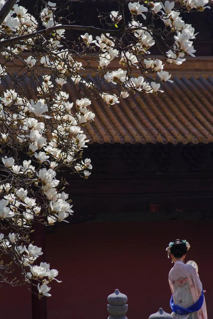 南京天空之镜高清图,中国五大惊艳世界的城市