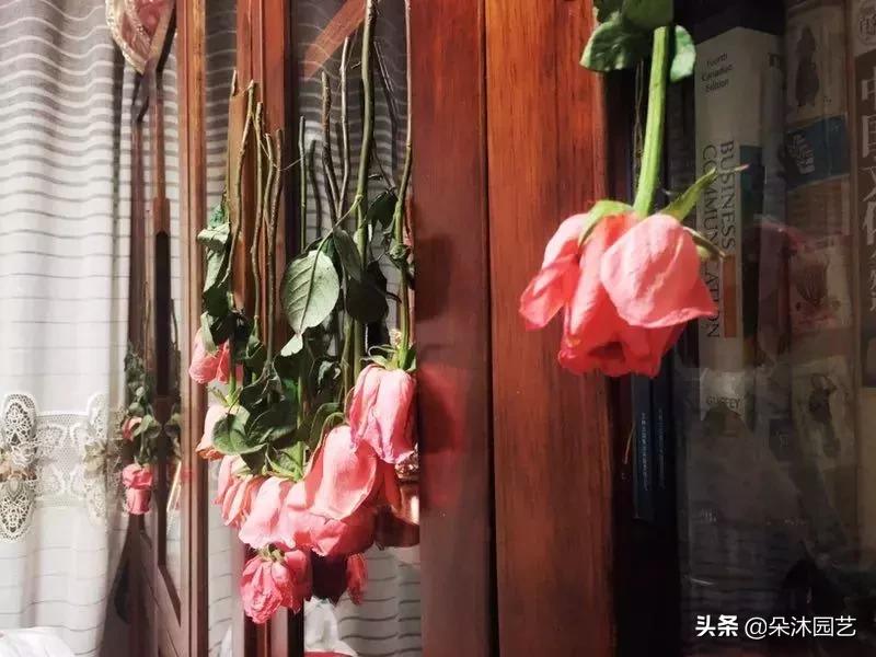 干花如何定格在墙上,干花制作5朵花教程