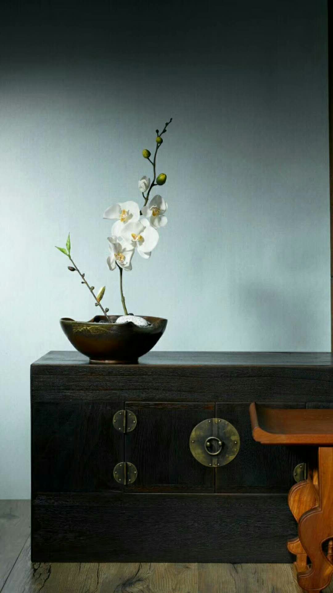 巜以苏轼之名，品味宋代极致美学》——王伟书法之十五