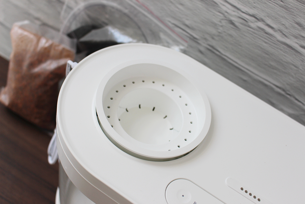 养鱼日记森森鱼缸,水族箱造景养鱼日记