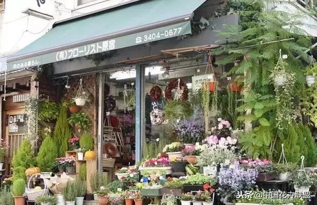 开花店一个月可以挣多少钱,北京开花店一年能挣多钱