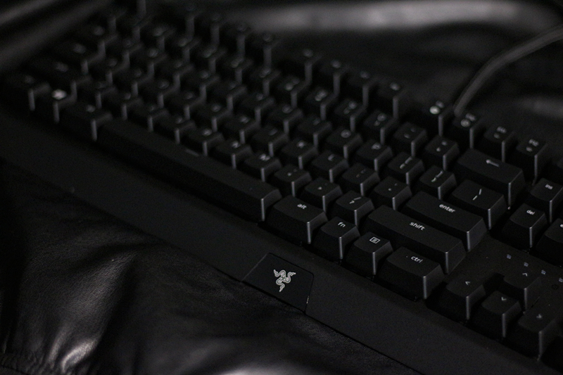 黑寡妇蜘蛛幻彩版和标准版,黑寡妇蜘蛛幻彩版灯光