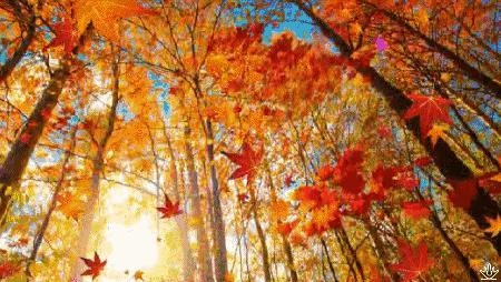 儿童画花丛画法高级感,水洼怎么画简单又漂亮儿童画