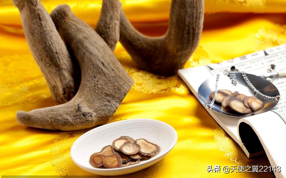 方舟子批评中医方法论的局限性,方舟子批评中医的原文