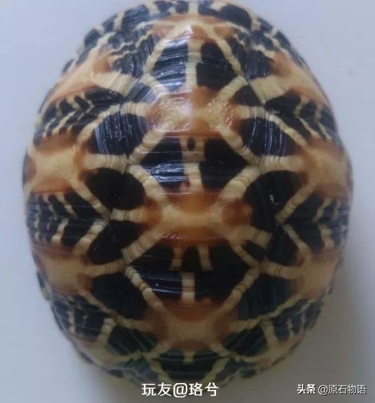 盘龟壳会玉化包浆后效果视频,龟壳盘多久玉化包浆起荧光