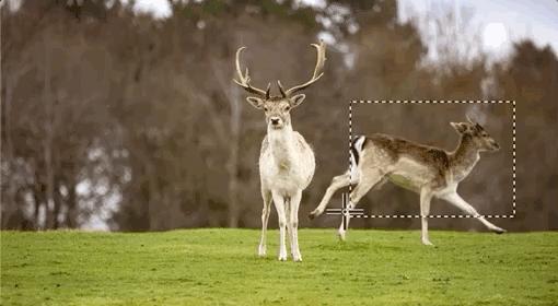 photoshopp图思路,用2020版ps进行p图