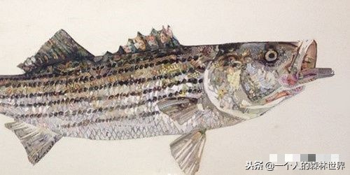 閫忚澶栨寕鐪熷疄浜嬩欢,閫忚澶栨寕鐪熺殑鍋囩殑