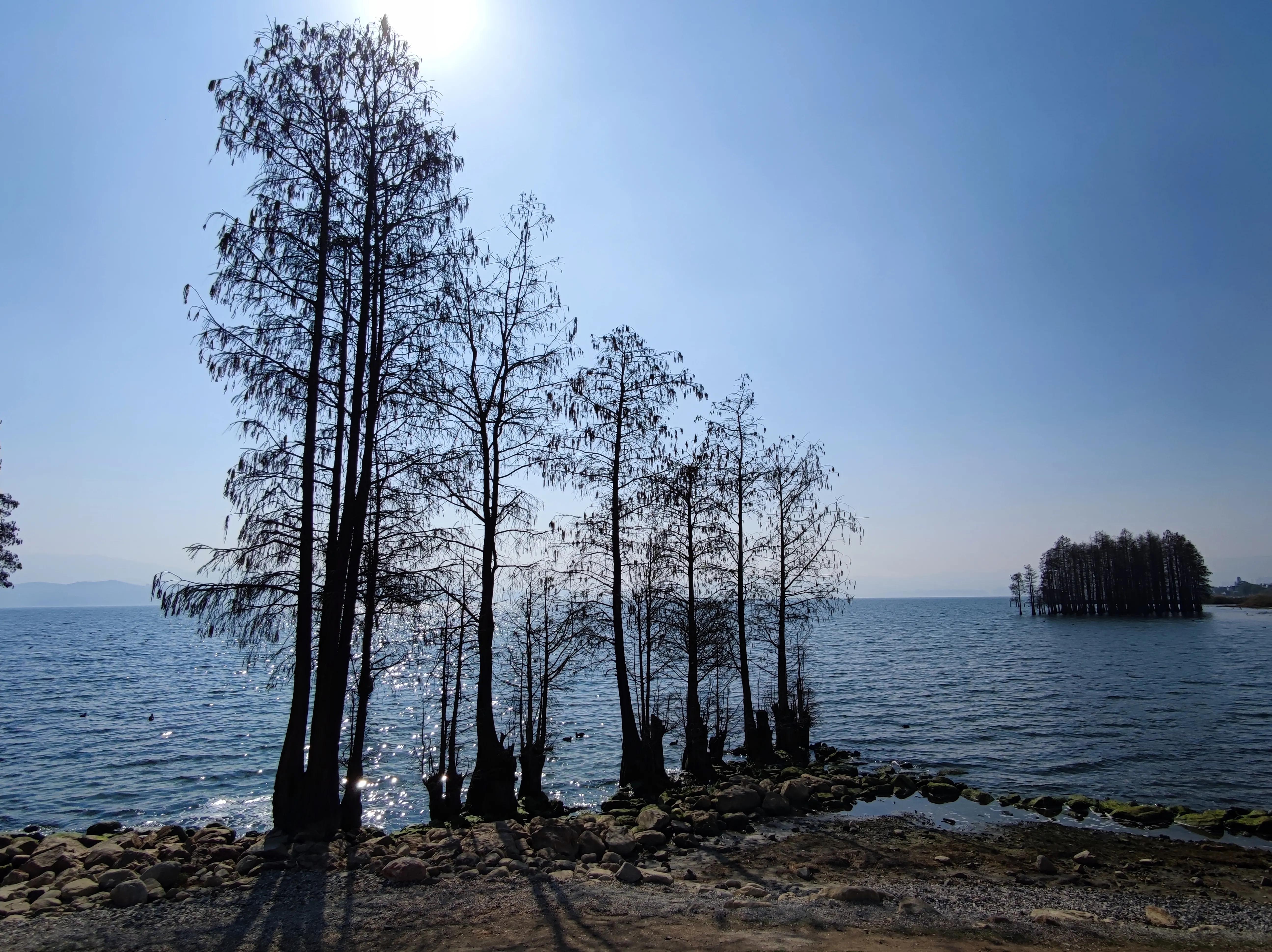 云南大理洱海龙龛古渡码头,云南洱海龙龛码头人多视频