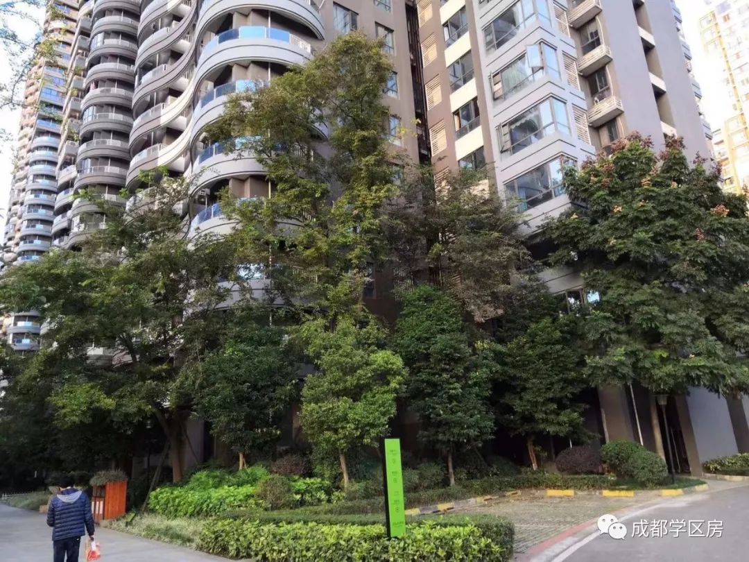 天府新区第五小学排名,天府新区a区学区房