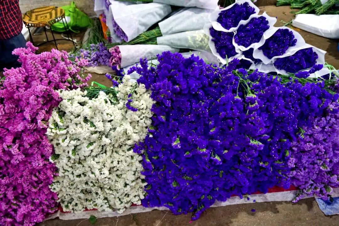 哪里鲜花最多最便宜,苏州市最大鲜花批发市场