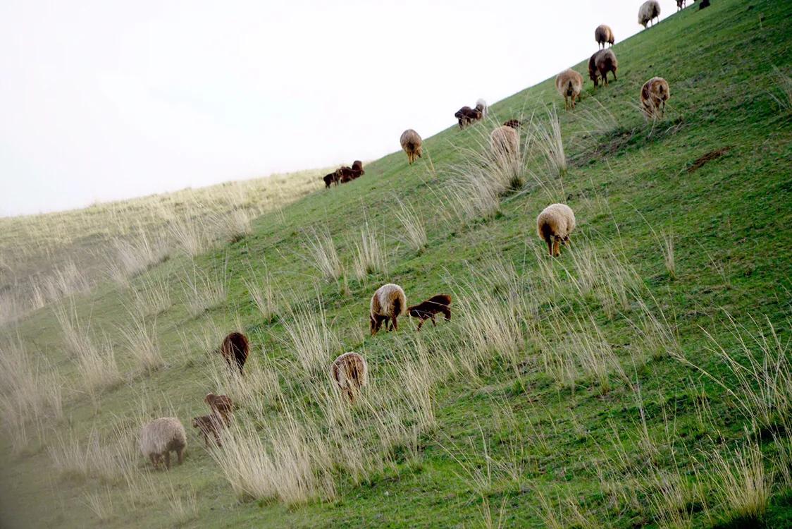 占中国六分之一地盘的*疆新**，12个5A景区N个世界遗产你走过多少？
