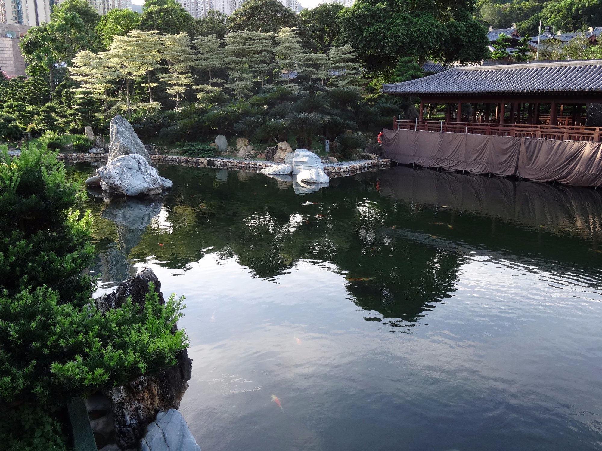 香港志莲净苑地图,香港志莲净苑好玩吗