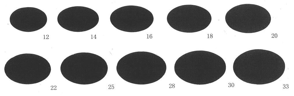 *丸睾**，男性自带的外挂