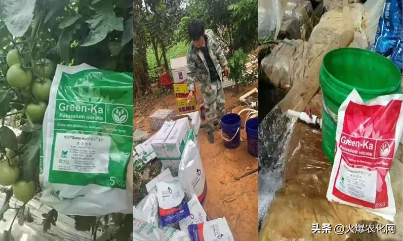 水溶肥效果如何评价,自制水溶肥效果好吗