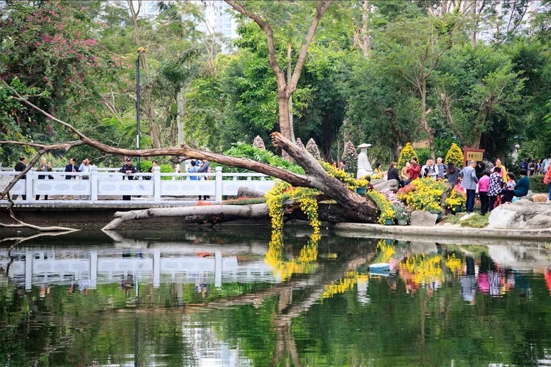 深圳吃喝玩乐两日游推荐,深圳周边游吃喝一日游推荐