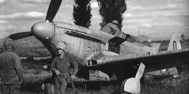 朝鲜战场金刚山战役,少数派报告中国