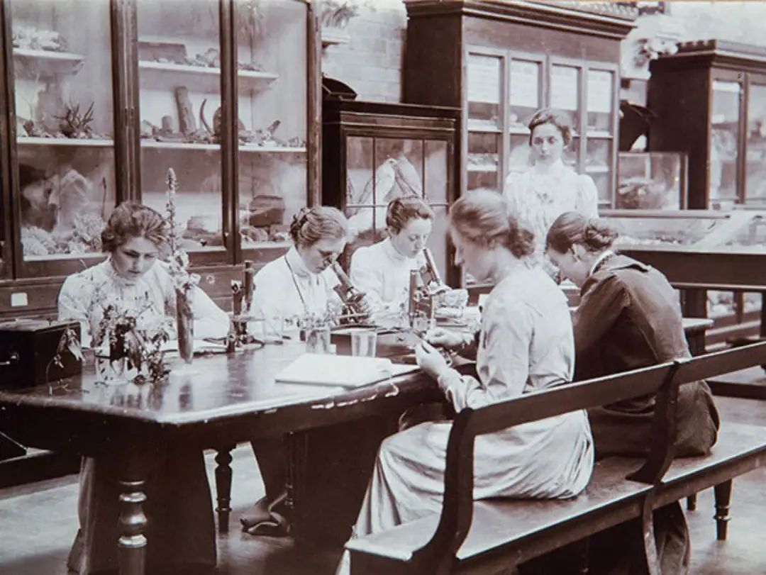 谁才是真正的“女版伊顿”？英国网友吵翻了