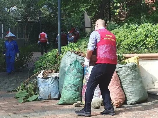 鍝佽川铚曞彉,鍝佽川铦跺彉