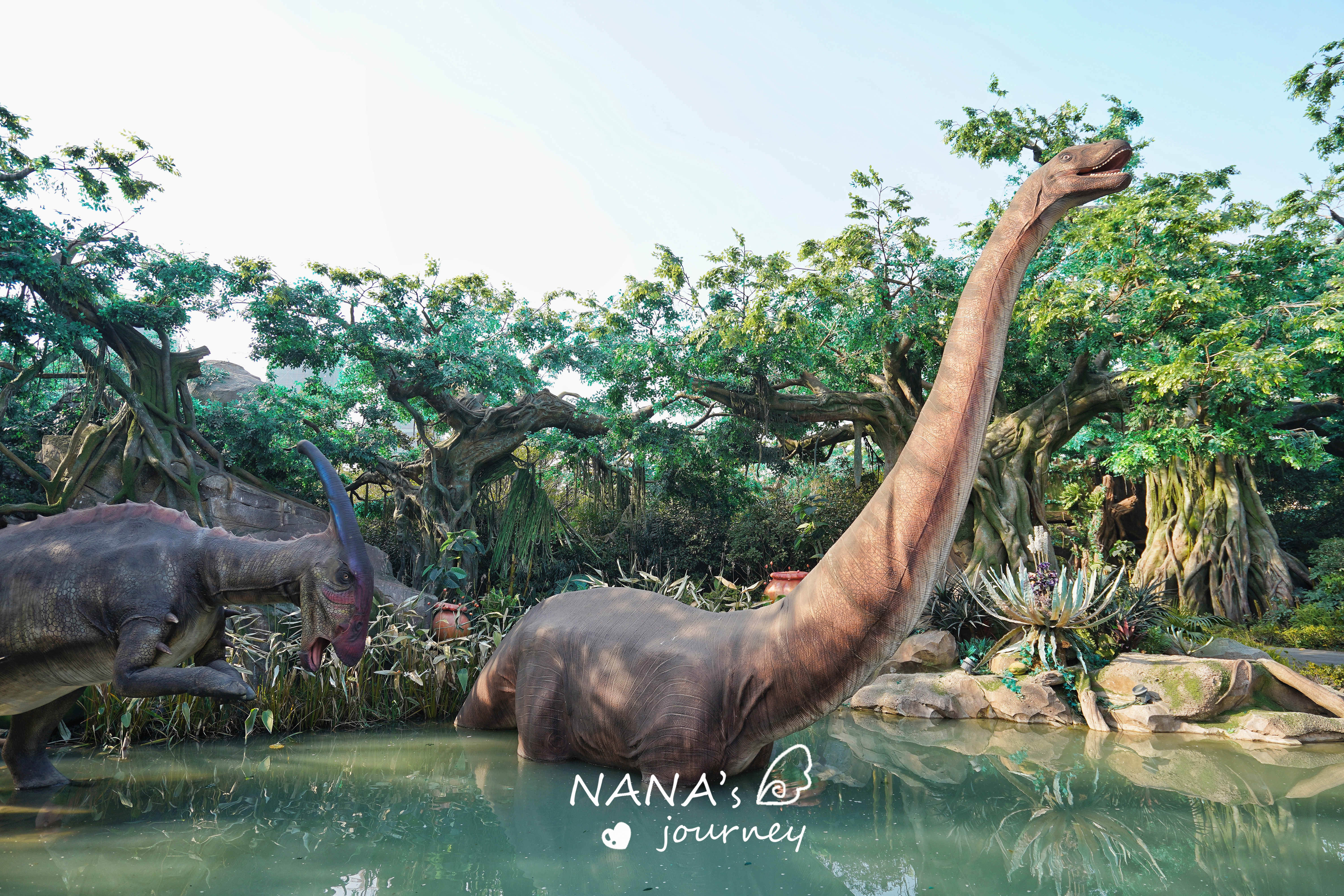 常州恐龙园怎么玩项目,常州恐龙园水世界攻略