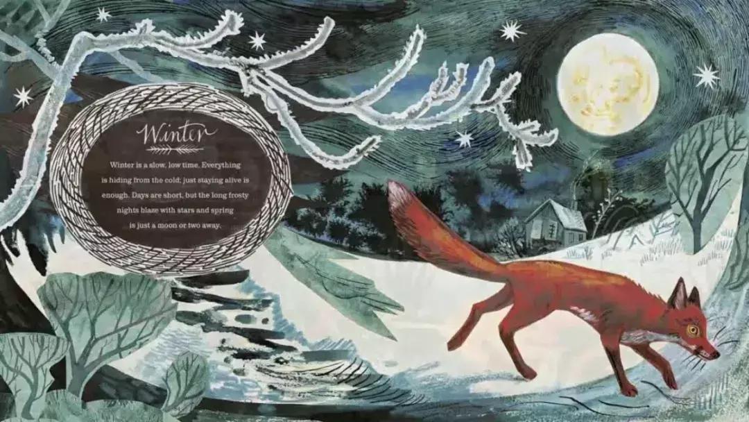 给孩子的自然故事绘本,讲给孩子的自然科普绘本