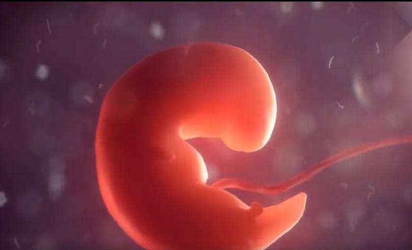 人造子宫实现让人类复活,人类能接受人造子宫吗