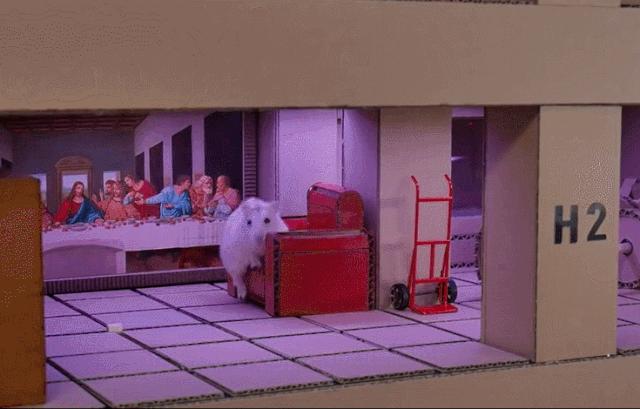 身价300万的仓鼠外网走红！住3层电梯豪宅，丰富娱乐，人不如鼠啊