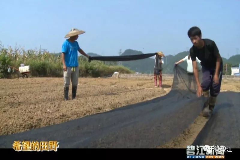 铜仁川硐未来发展前景如何,铜仁碧江川硐发展不利因素