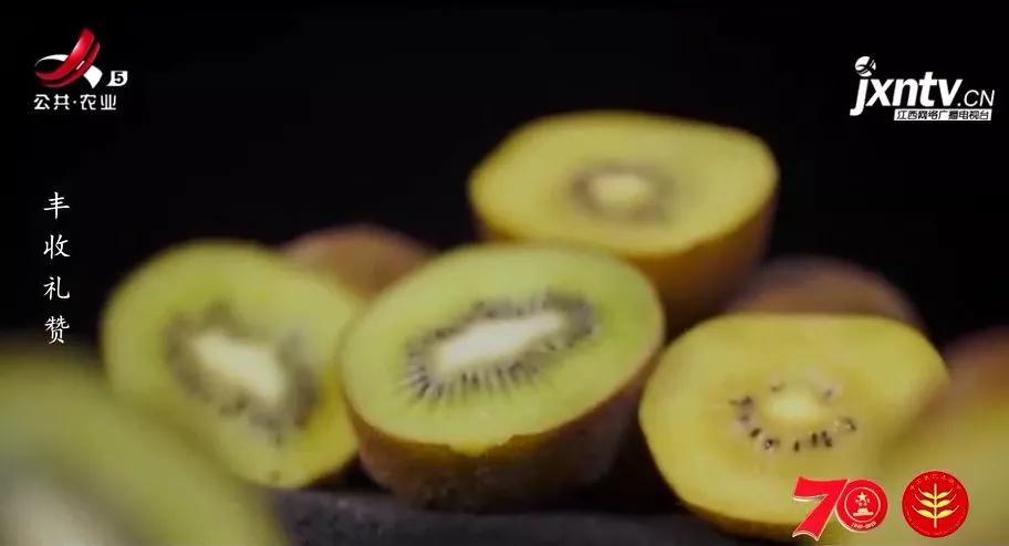 品牌故事康师傅,品牌故事冠生园