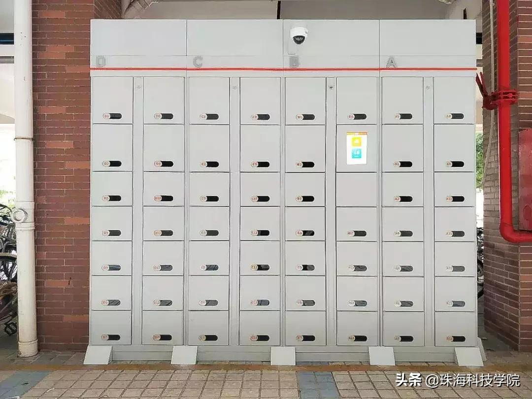 读一所校园环境和学习氛围全方位一流的大学是什么体验？