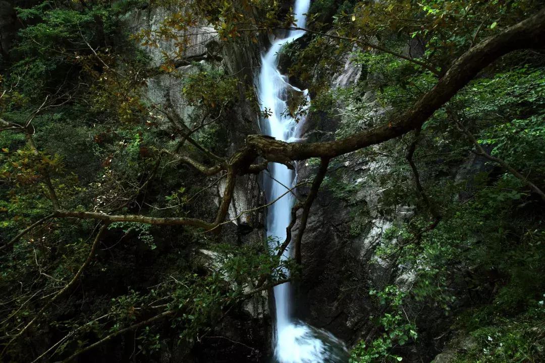 南阳西峡老君洞大锅菜,有哪些适合多人吃的大锅菜