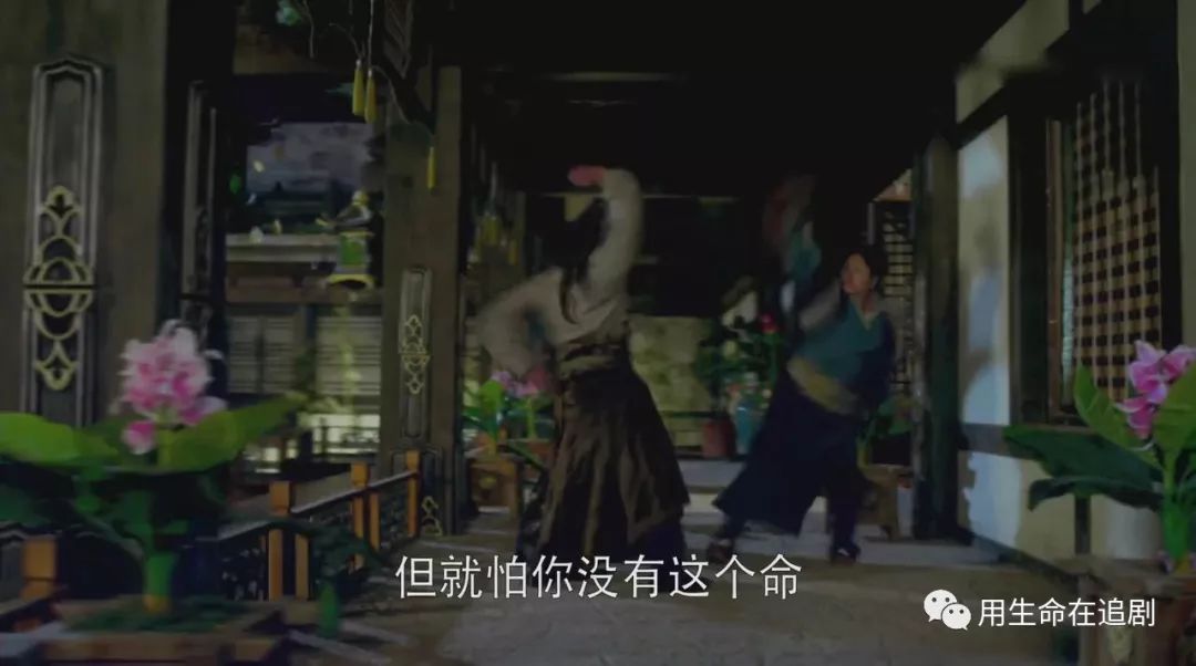 《华胥引之绝爱之城》——是什么毁了这部本该大火的剧？（中）