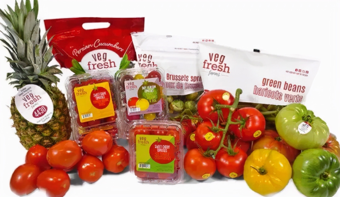 沸石抗菌包装技术,沸石抗菌剂