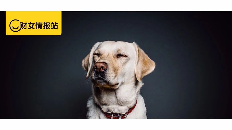 9.9亿人的信用已入库,5年内的“污点”都可以查到