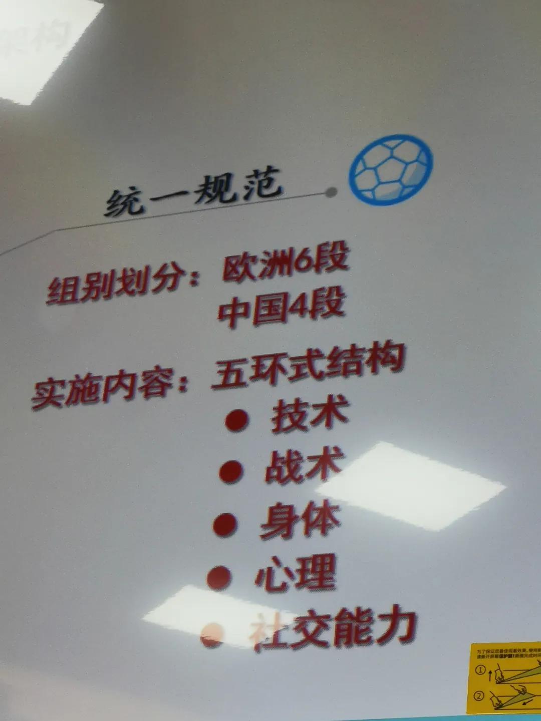 专家点评中国足球现状,中国青少年足球浅析