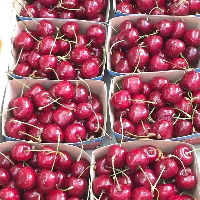 好物丨Jacquemus:从无名小镇闯入世界,南法农夫的时尚逆袭