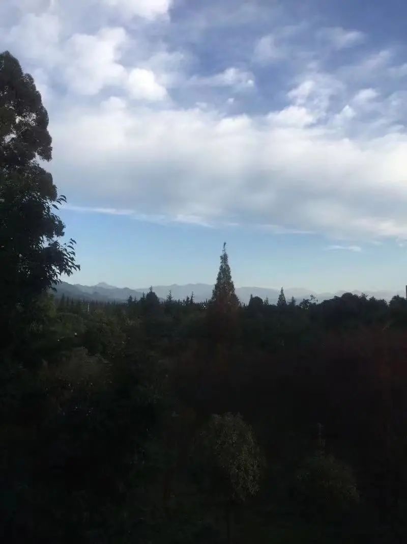 东软，青城山下最大的养老院型综合网吧