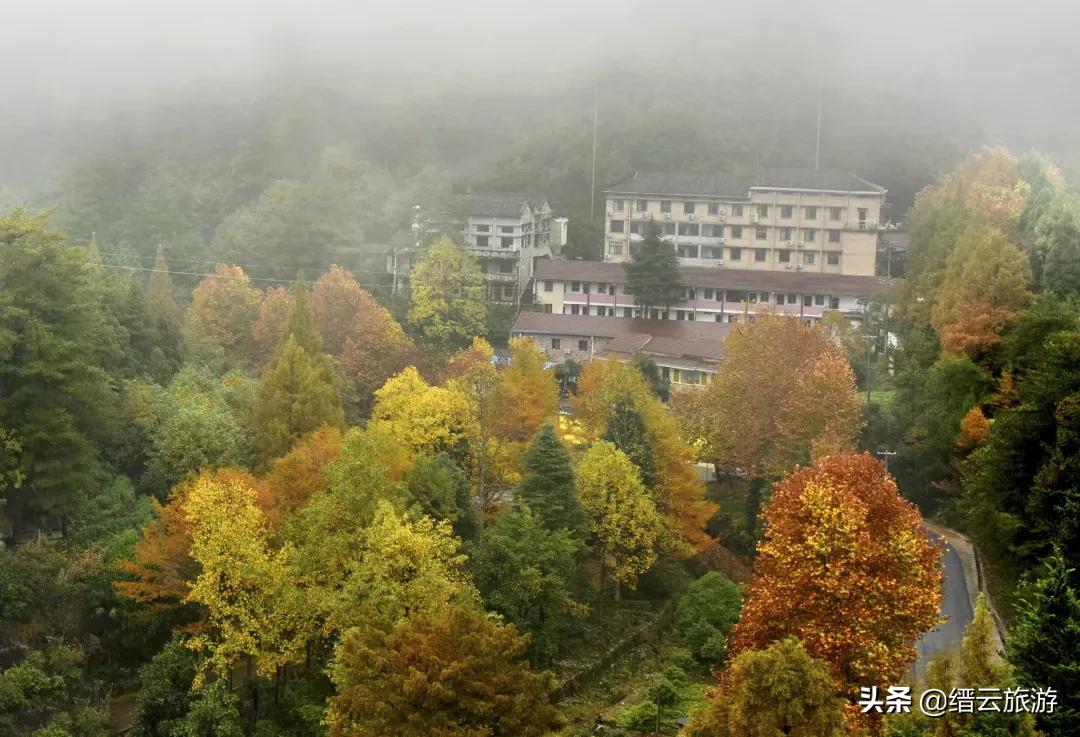 缙云景区拍照攻略视频,缙云风景拍摄