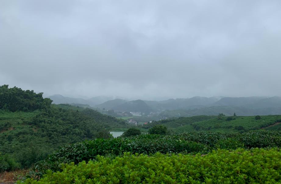 上个月,我去浙江探了探祥生的“老巢”......