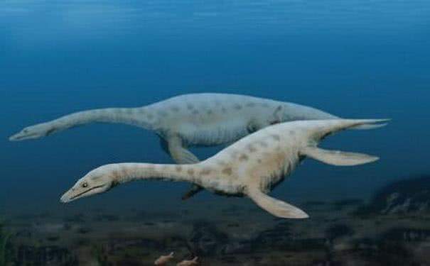 4种远古海洋里的“四大金刚”其中一种拥有绝对的力量