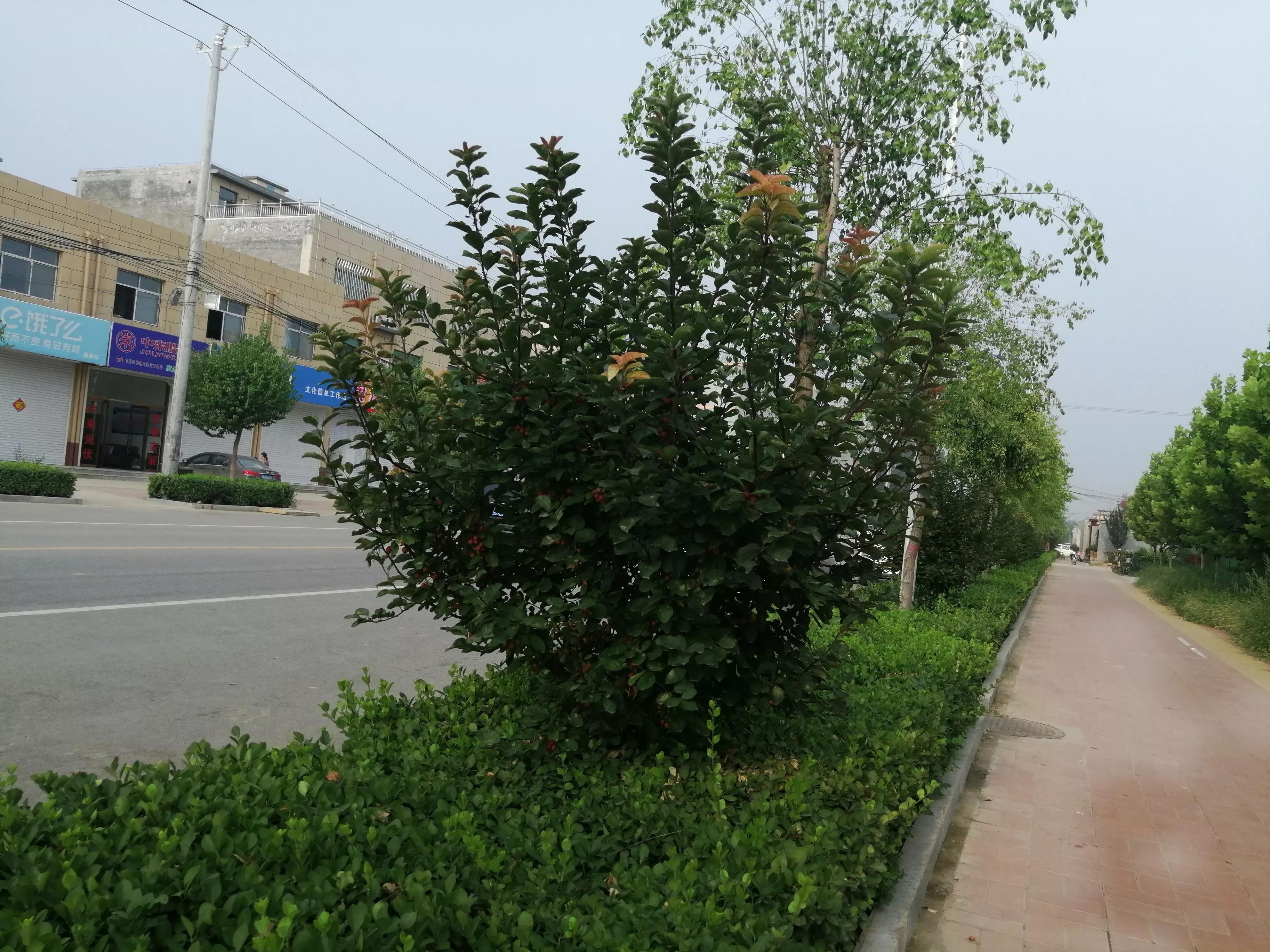 母女俩因为一个男人反目成仇,母女俩相依为命故事