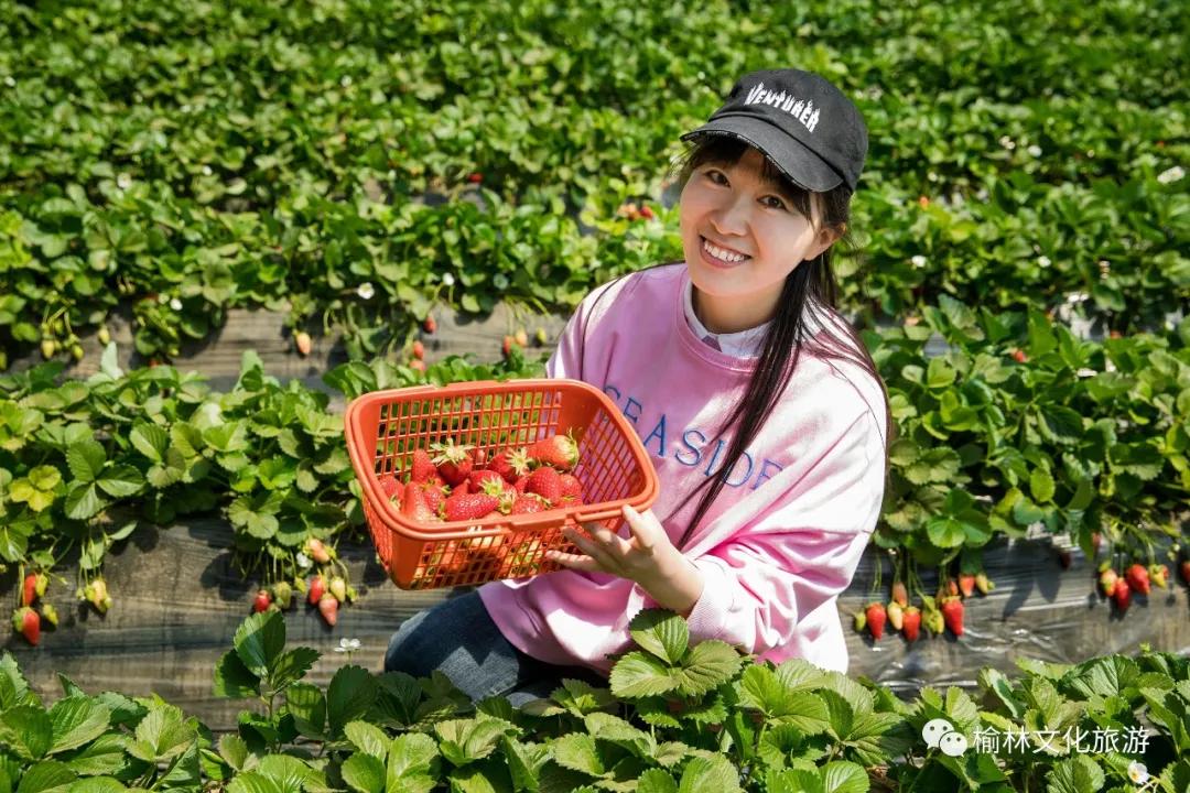 榆阳区周末游玩推荐,榆林芹河旅游