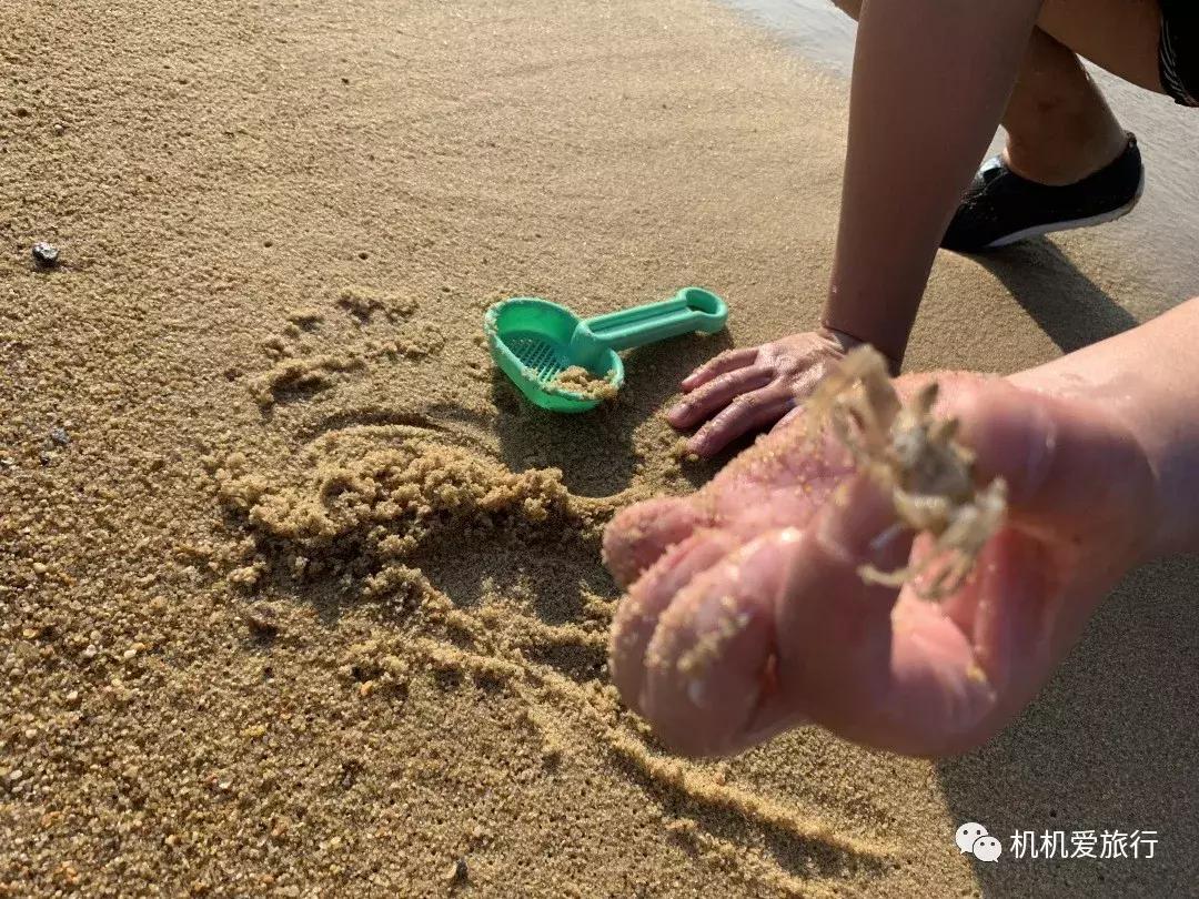 越南4天3晚跟团游,越南旅游芽庄6天五晚跟团游