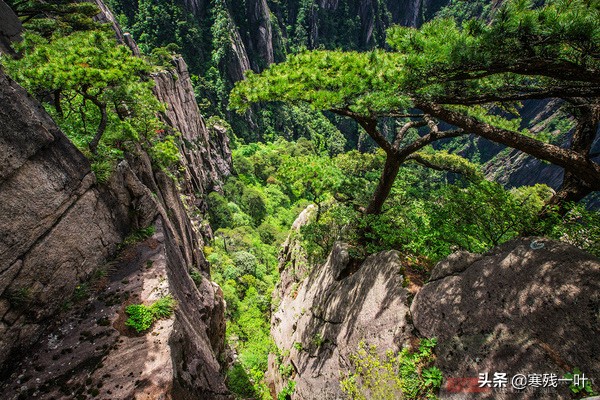 黄山风景悬崖峭壁,峡谷怪石嶙峋