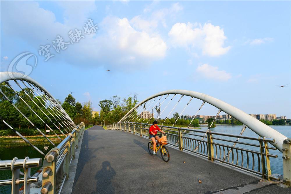 一条河记载了时光的变迁与沧桑,从一条河开始的无限进化免费阅读