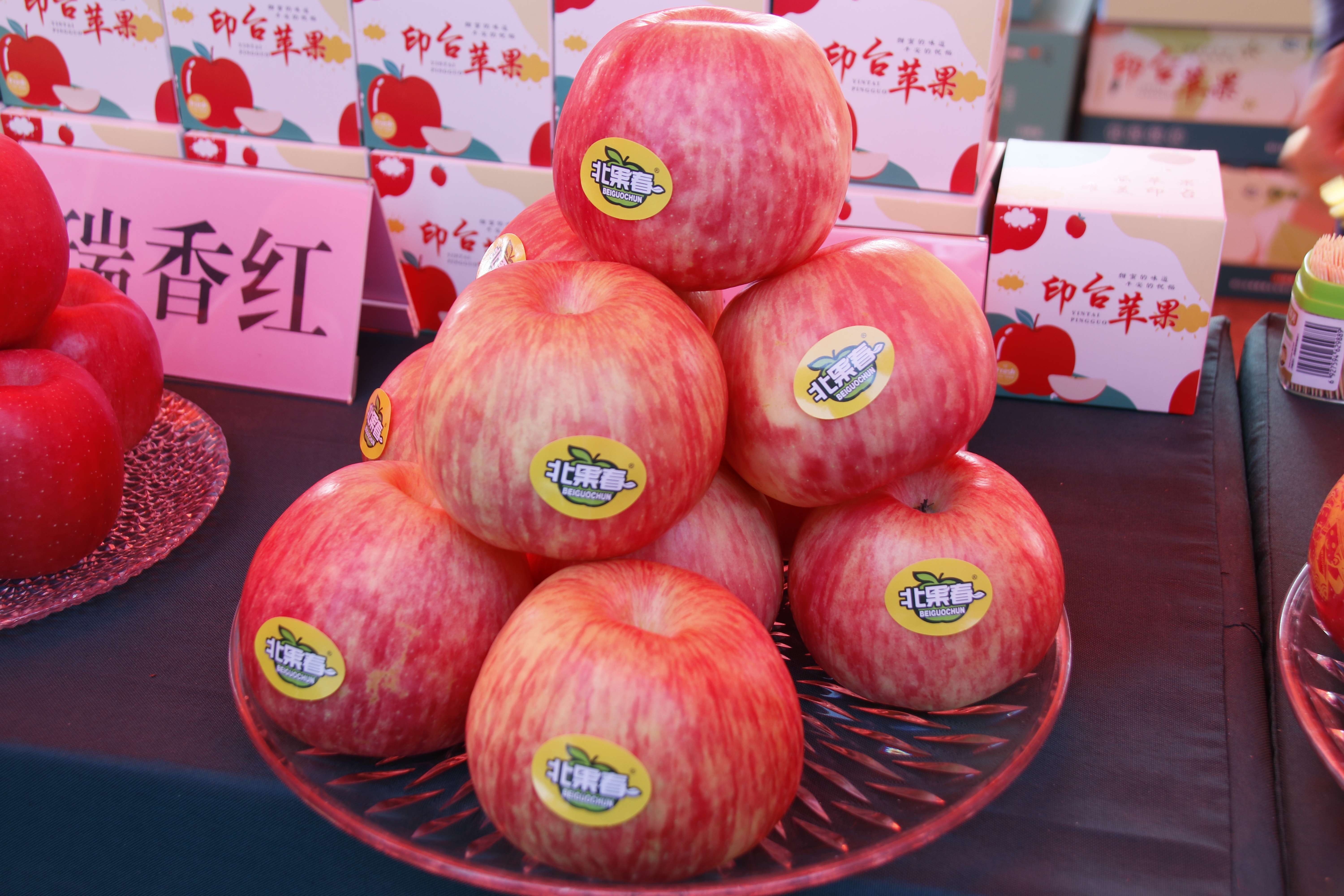 一品苹果·唯美印台,陕西果业产区行走进铜川印台区苹果优生区